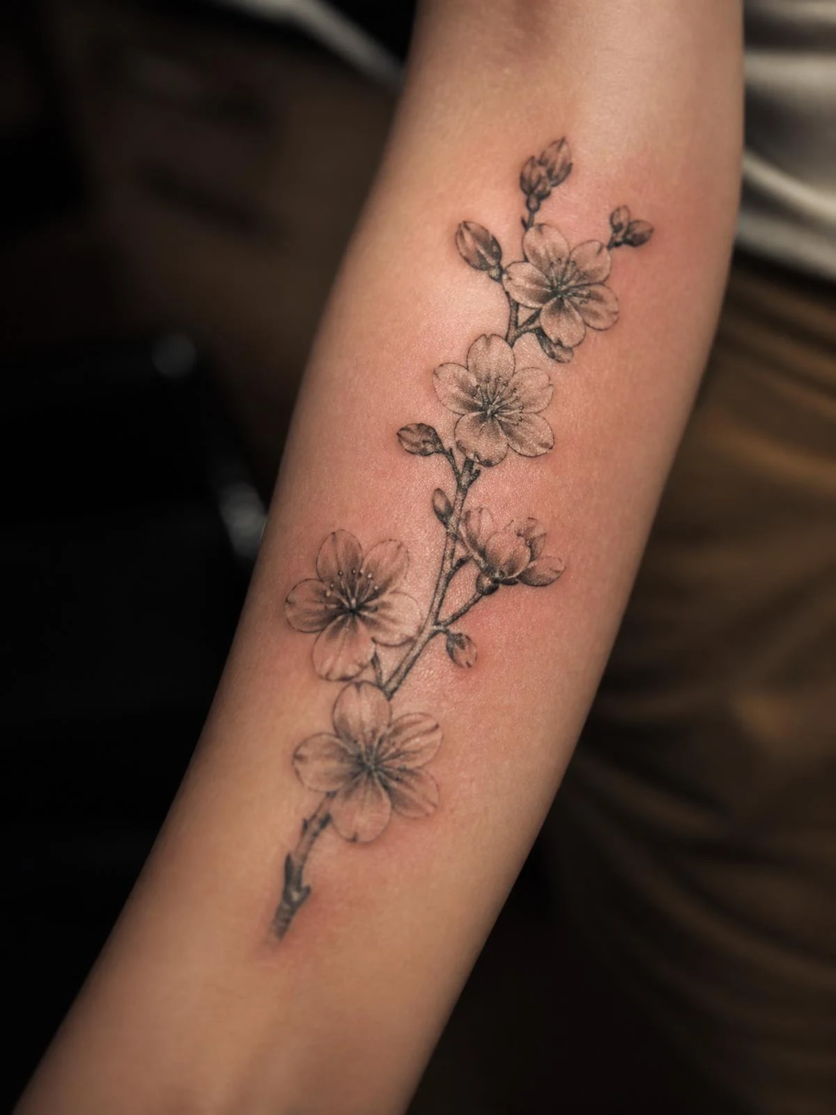 Sakura Dövmesi dövme örneği — NEXA Atelier